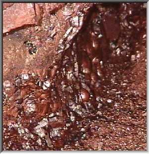 Sample of Kidney ore, in-situ