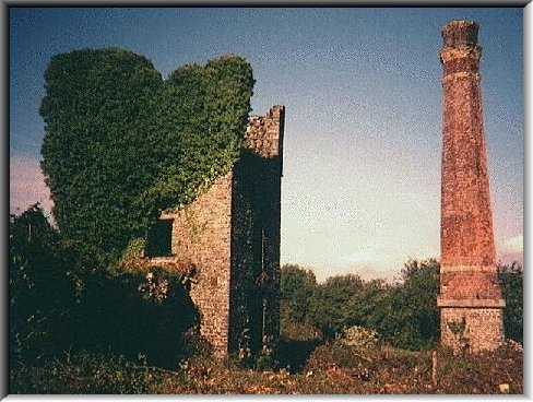 Remains at Watson's Shaft, prior to conservation by the S.C.C. and S.M.T.