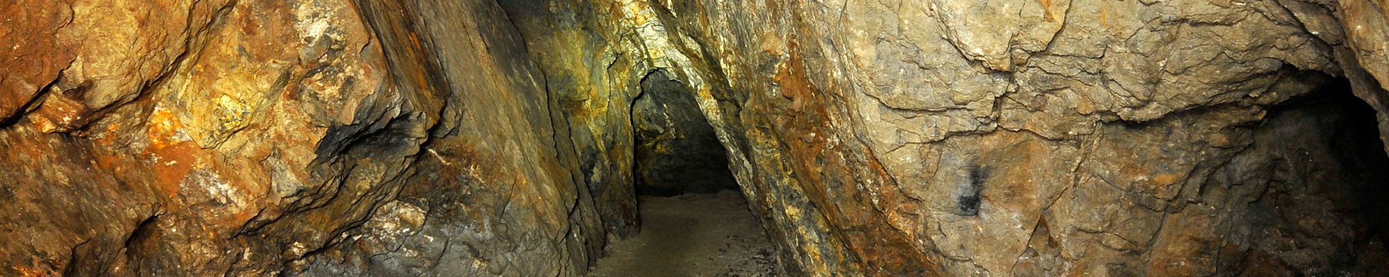 Shropshire Miners' Reunion Service