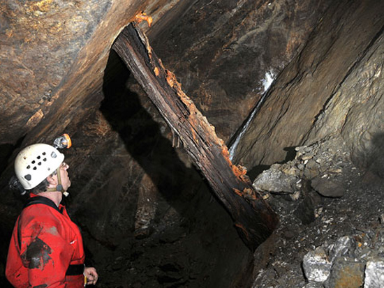 Surviving Timbers, &copy; Kelvin Lake