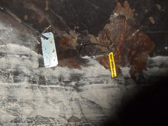 Tags in position, &copy; Andy Kennelly